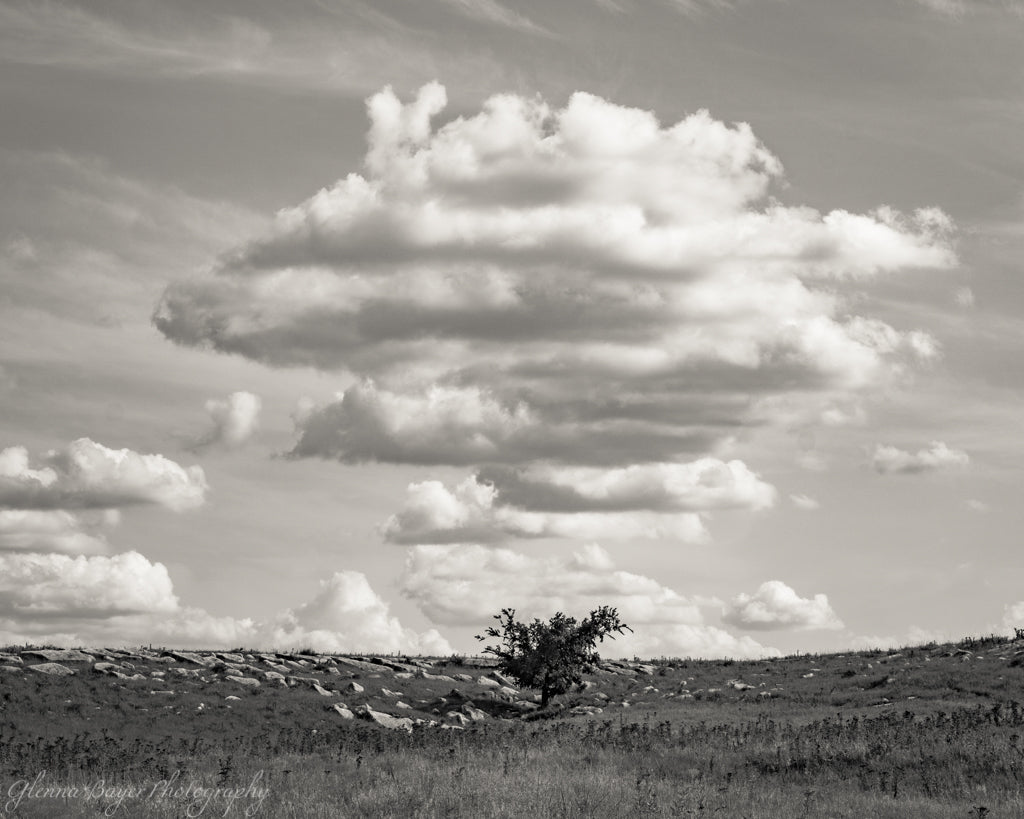 Kansas Flint Hills landscape with single tree and cloud formations