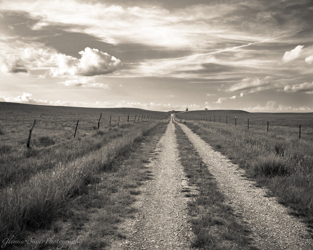 Gravel road through grassy landscape in Kansas