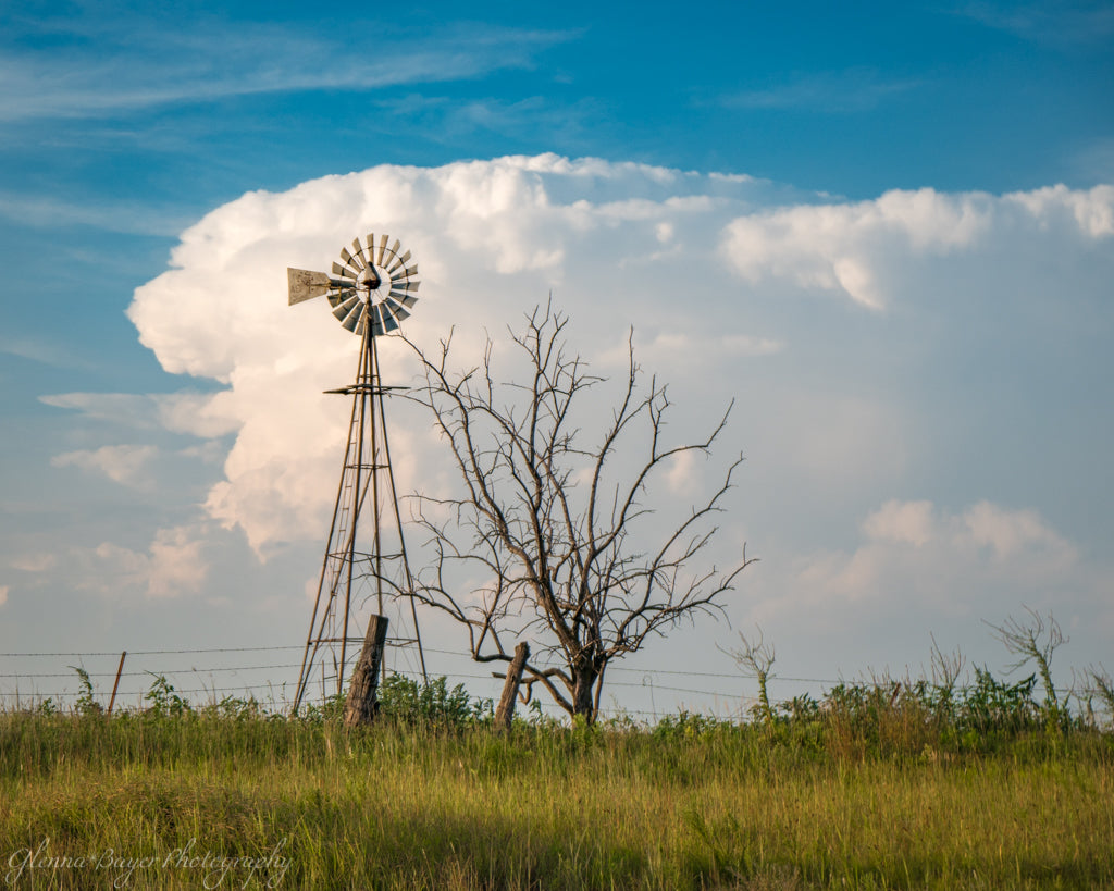 Windmill and tree with huge storm clouds in Kansas