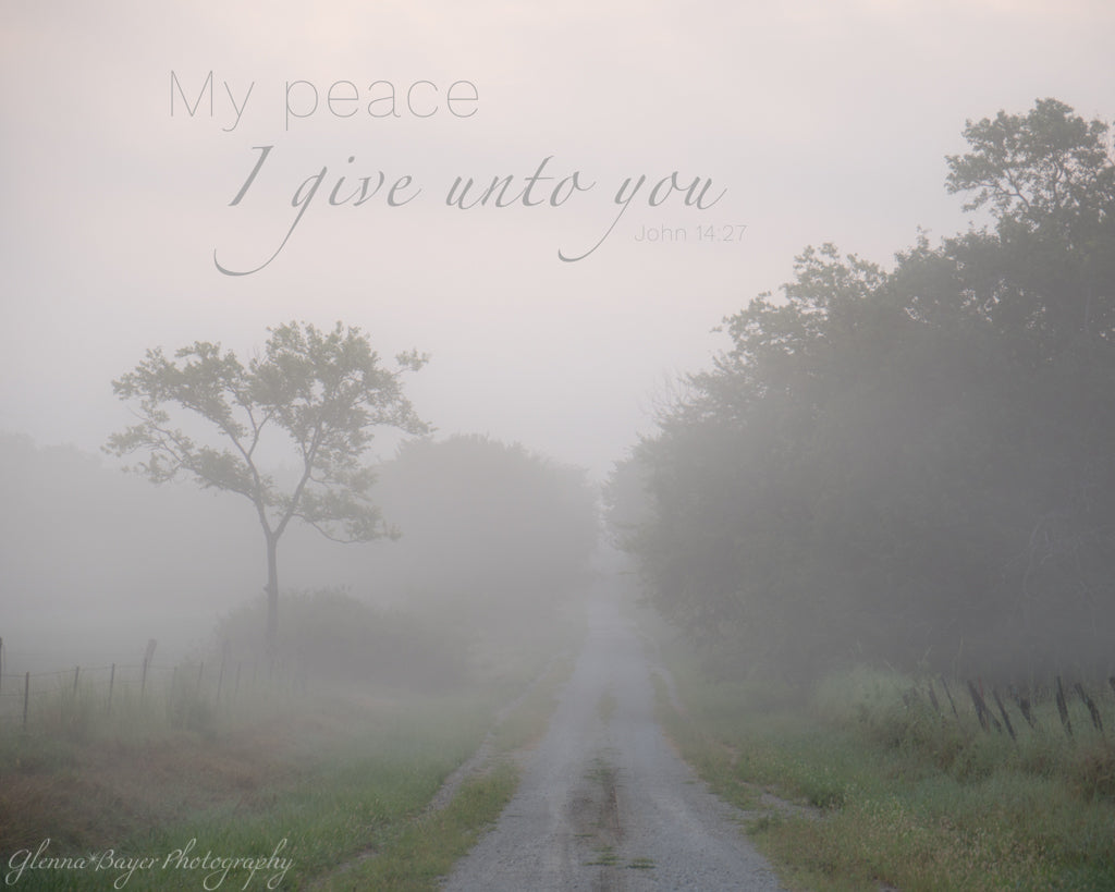 A gravel road through trees on a foggy Kansas morning with scripture verse