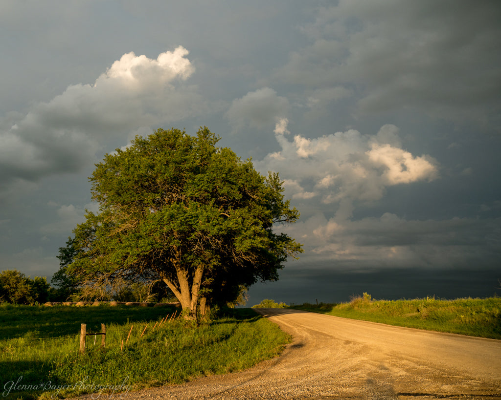 Landscape in evening's golden light with dark storm clouds in Kansas