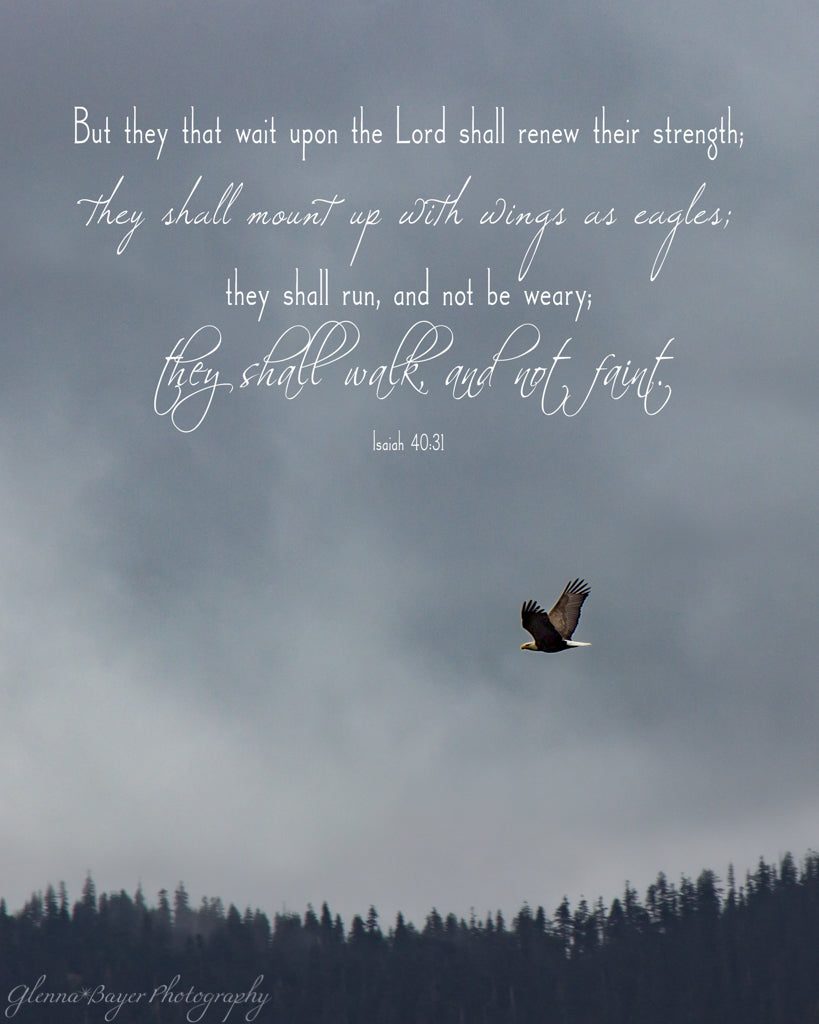 Wings Scripture Wingsverse