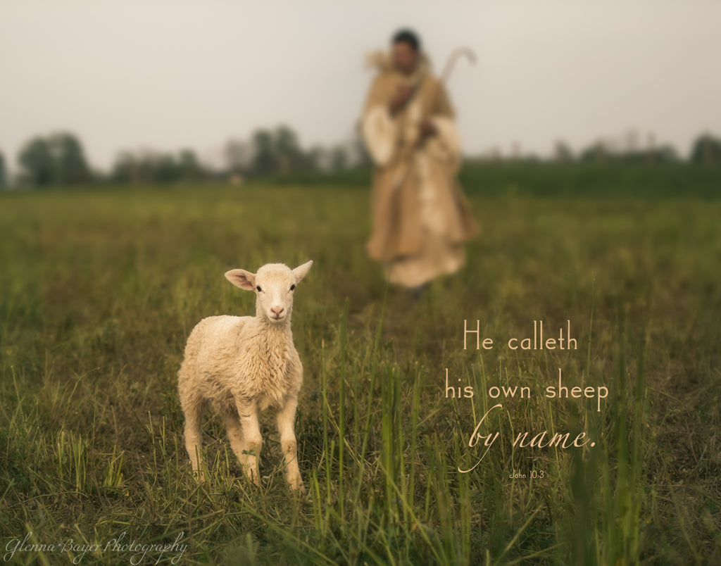 Shepherd with staff carrying little lamb on shoulders and guiding lamb with scripture verse
