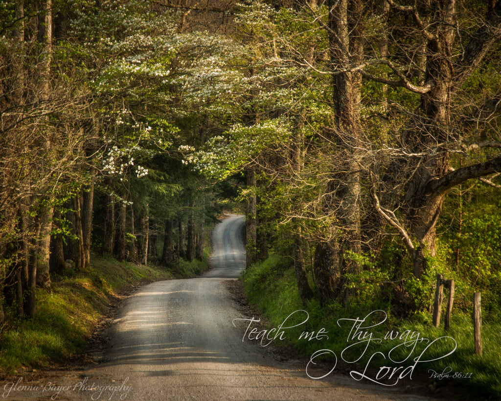 Gravel road through the Smoky Mountains on spring day with scripture verse