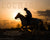 Silhouette of horse and rider galloping at sunset with scripture verse