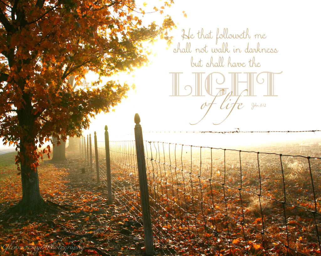 Foggy autumn morning with tree and fence row and scripture verse