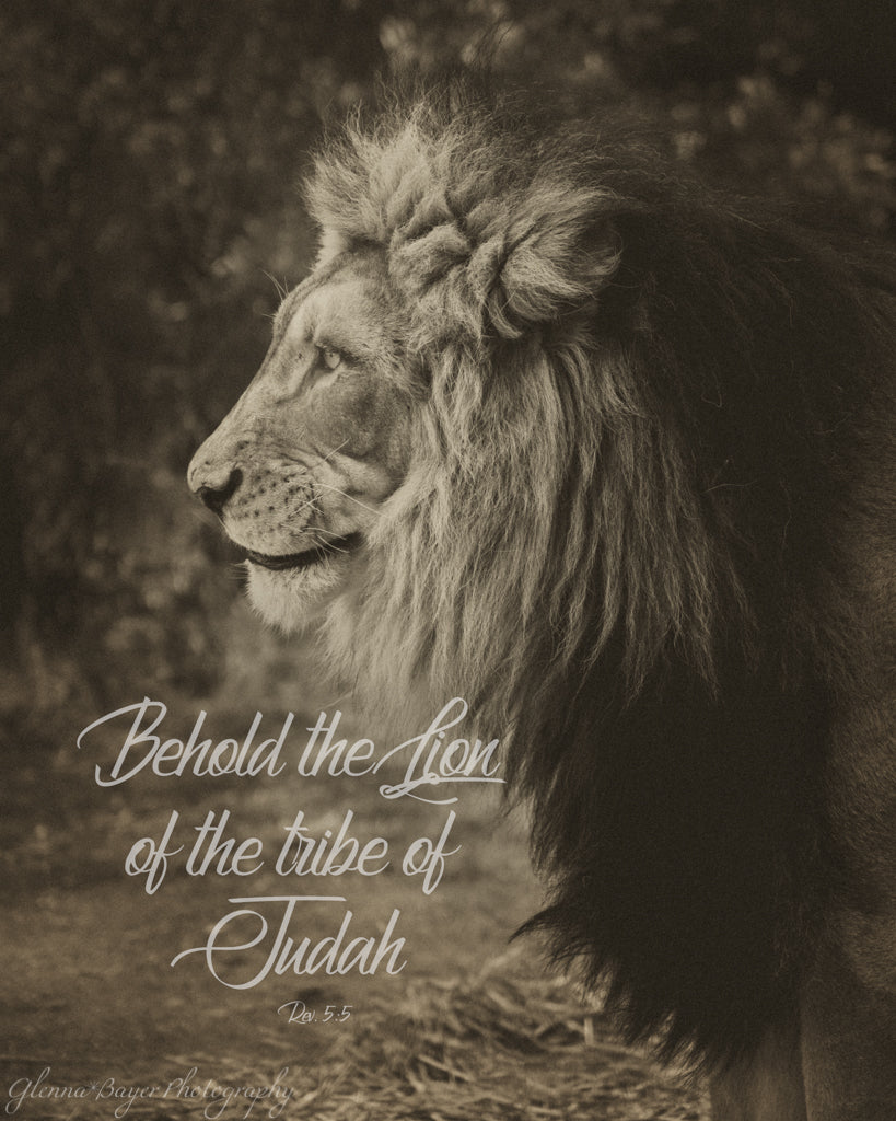 Profile of a lion with scripture verse