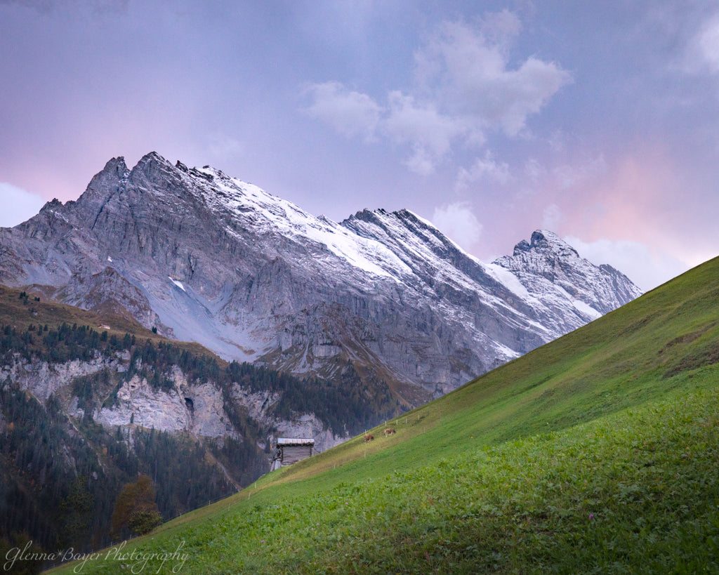 Pink and purple sunrise and the Swiss Alps in Gimmelwald, Switzerland