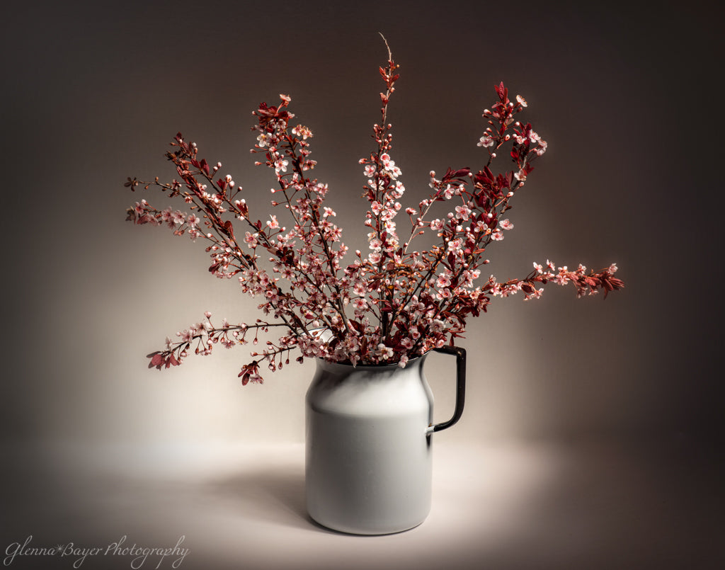 white metal pitcher of pink flowering branches