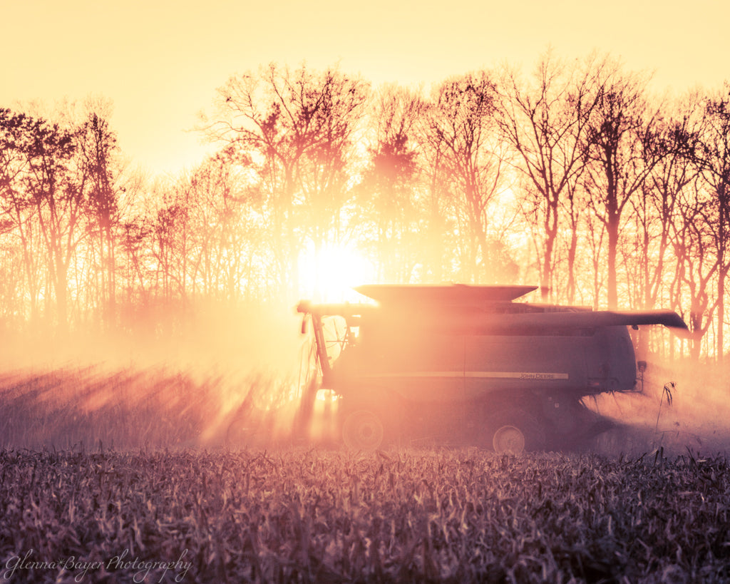 John Deere Harvesting corn at sunset