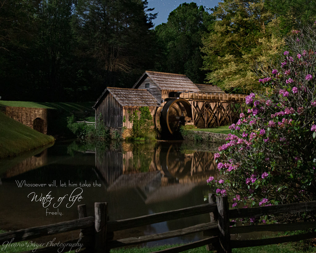 Mabry Mill and pond at night with pink flowering bush with bible verse