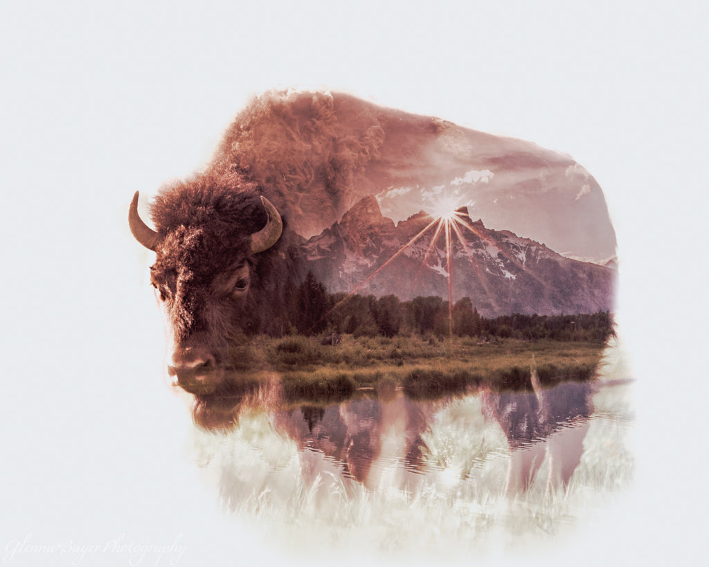 Overlay of Teton mountains and bison