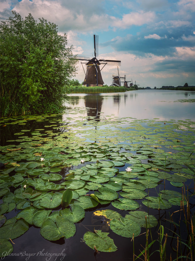 Holland windmills and lily pads