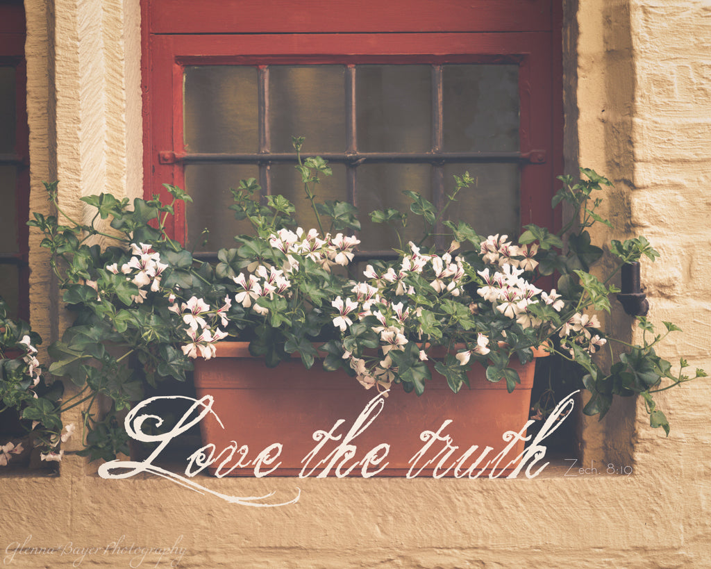 Flower box in window in Ghent