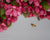 honeybee flying near pink crabapple blooms
