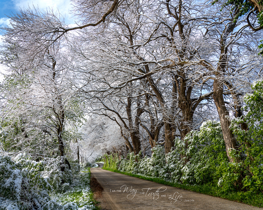 road through snow covered trees in spring with bible verse