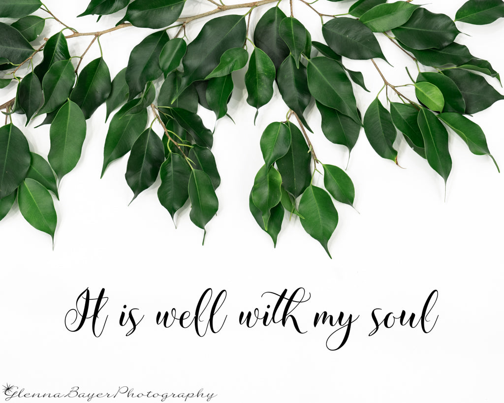 Ficus branched on top half of picture