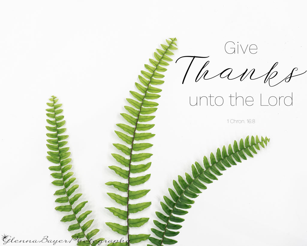Three fern fronds with scripture verse