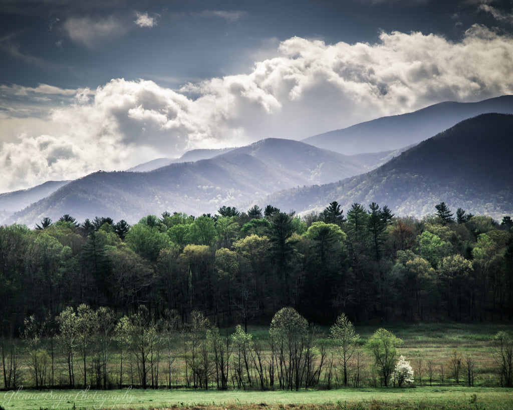 Spring landscape in the Smoky Mountains
