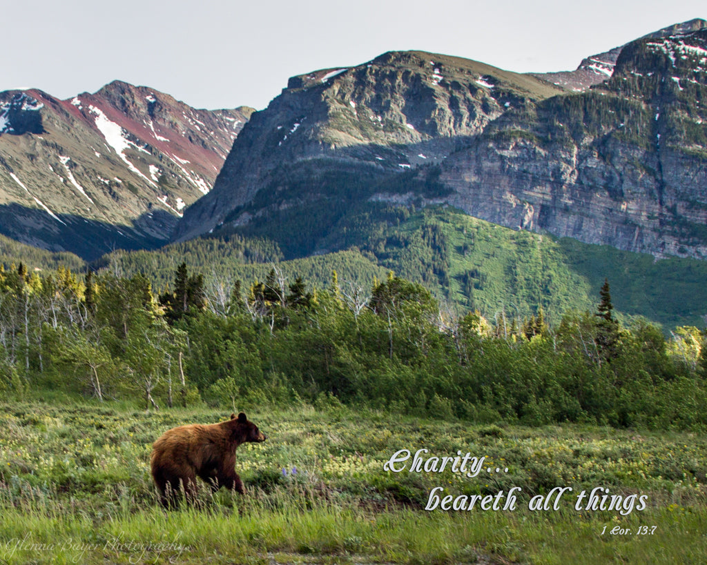 Black bear in Glacier National Park with mountains in background and scripture verse.