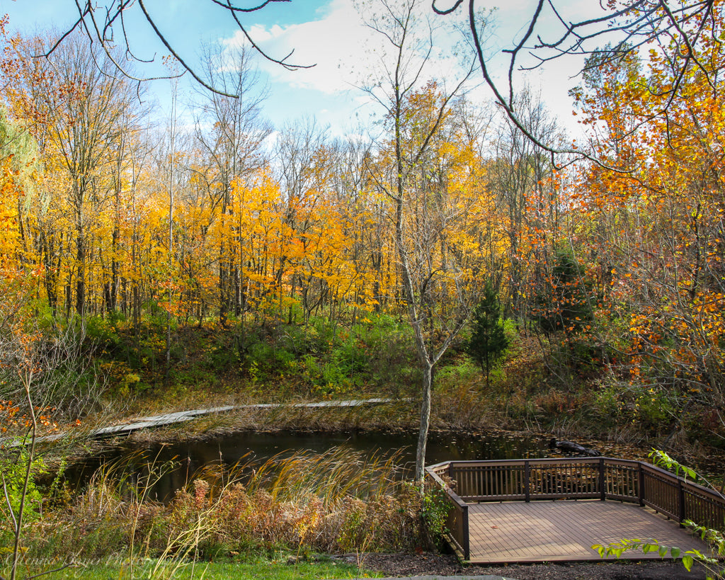 Pond surrounded by autumn woods at Brukner Nature Center, Ohio