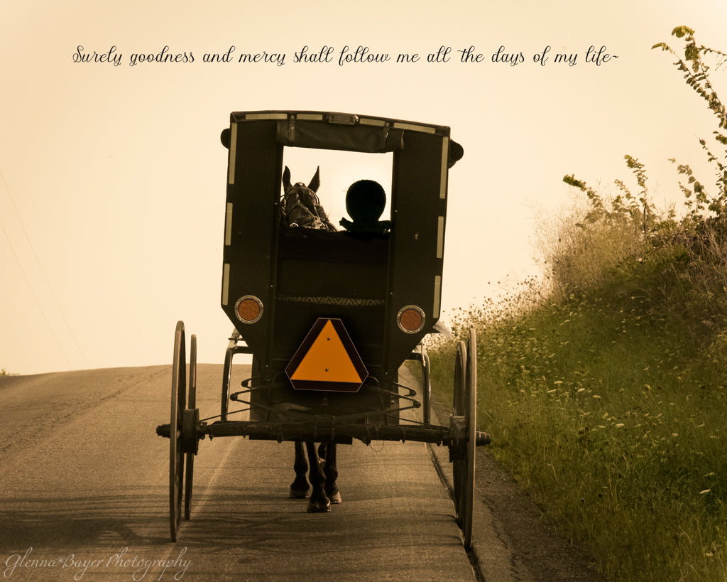 Rear Side of Amish Horse and Buggy Going Up Hill with Scripture Verse