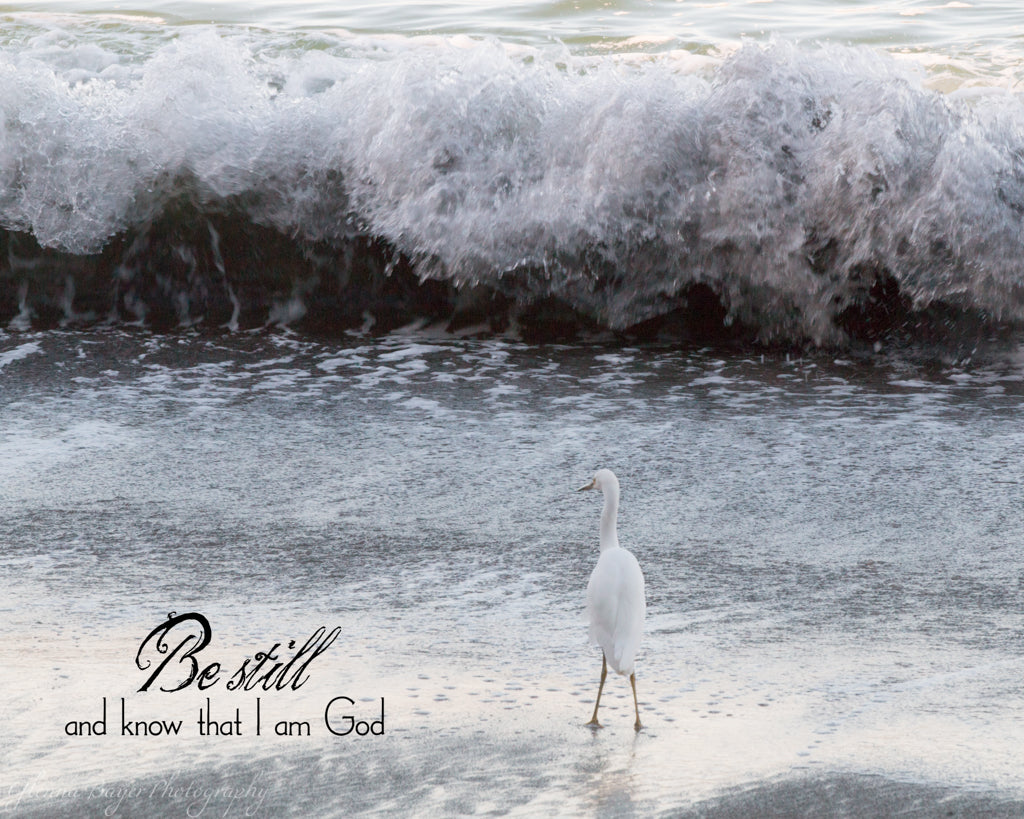 White bird standing in ocean wave with bible verse