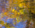Fall abstract of the Blackwater River