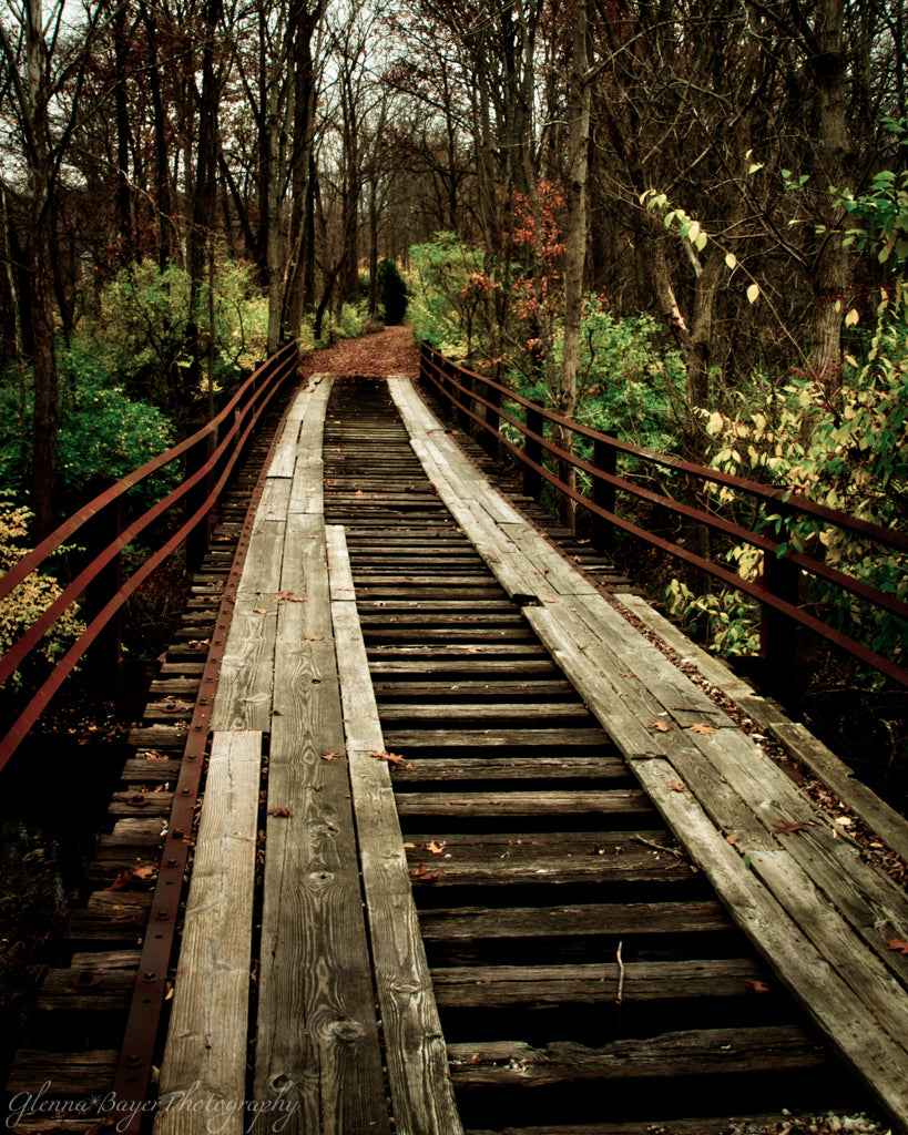 Old wooden bridge in autumn woods