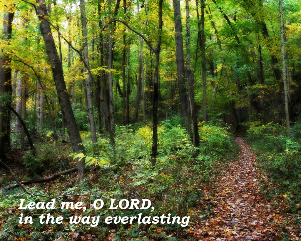 Path through autumn woods with scripture verse