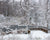 Pond surrounded by snow covered trees at Brukner Nature Center, Ohio