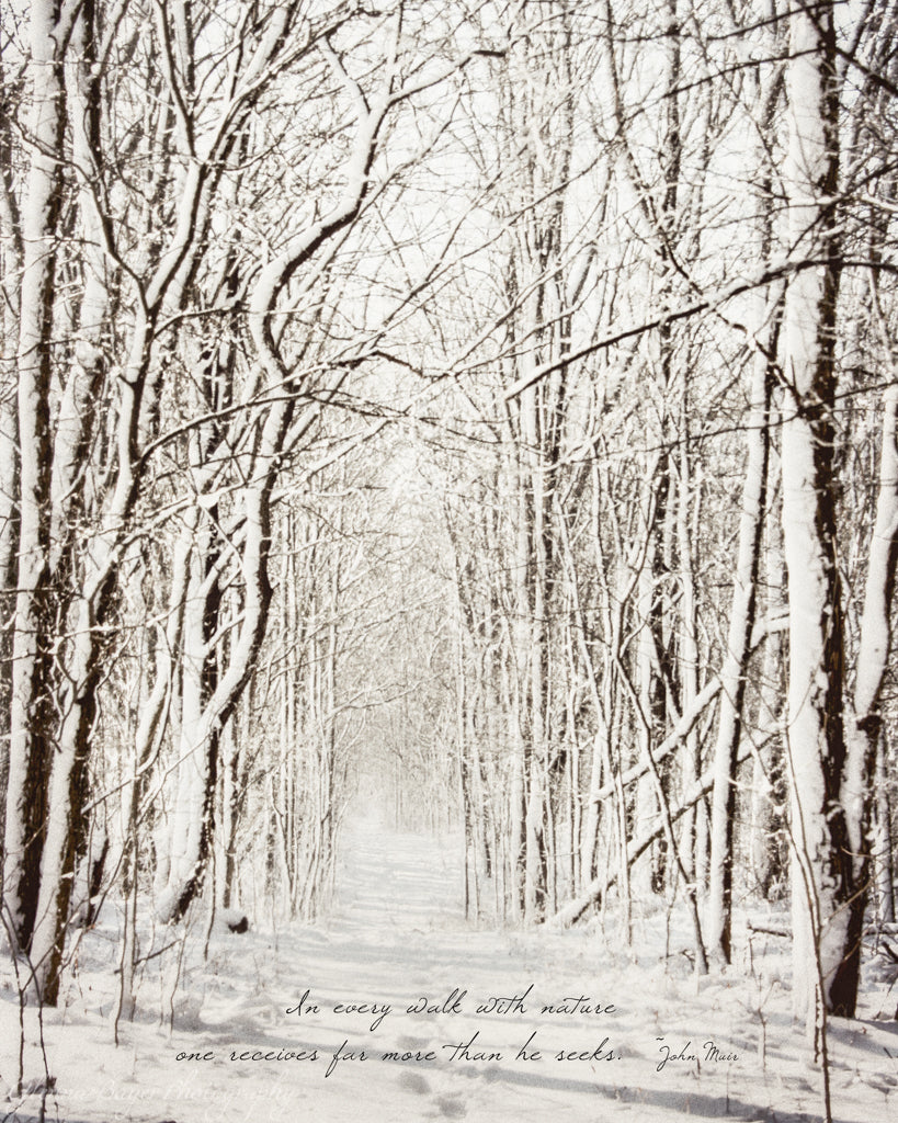 Trail through snow covered trees at Brukner Nature Center, Ohio with quote.