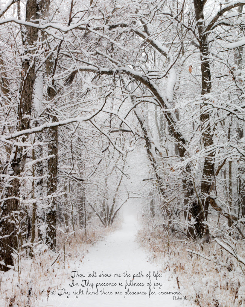 Trail through snow covered trees at Brukner Nature Center, Ohio with scripture verse.