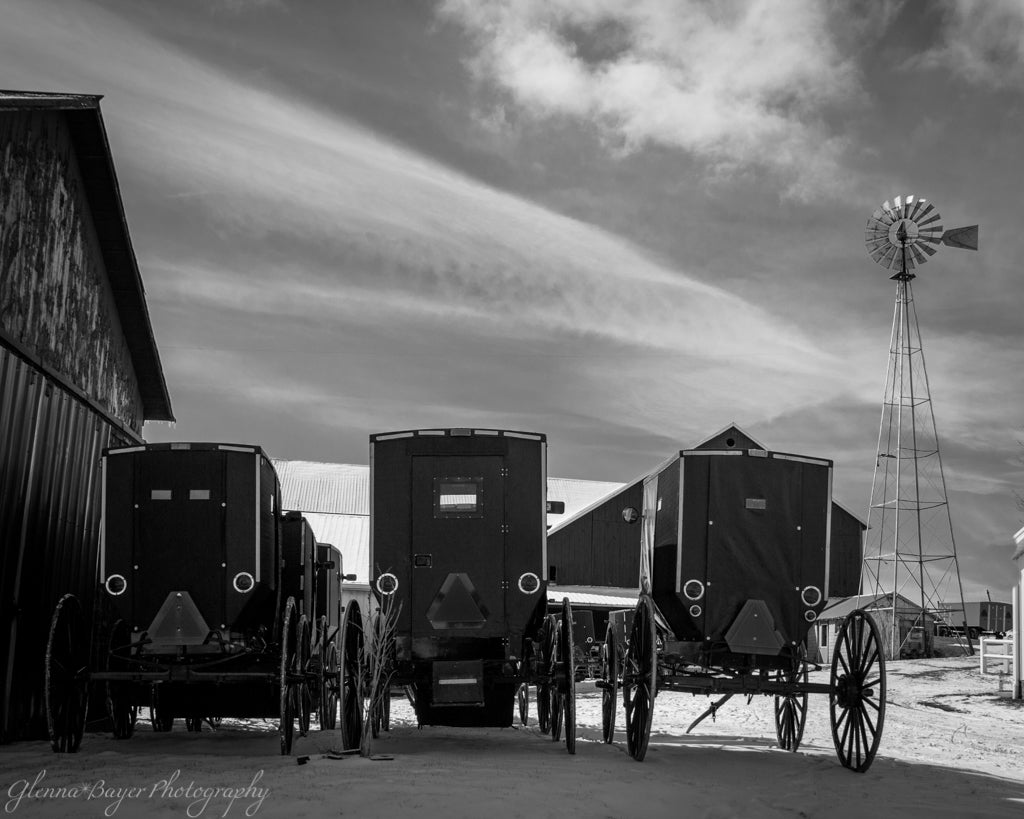Amish buggies at church in Holmes County Ohio