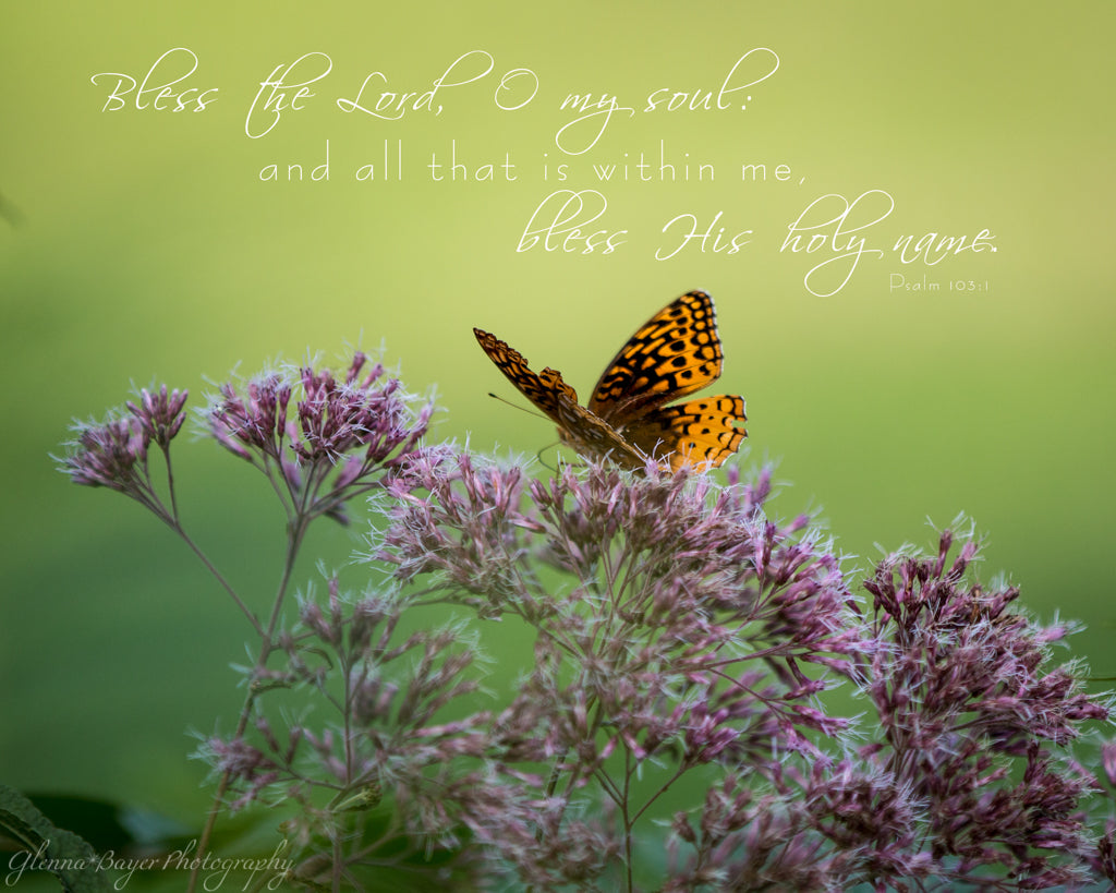 Orange butterfly on Joe Pye Weed with scripture verse