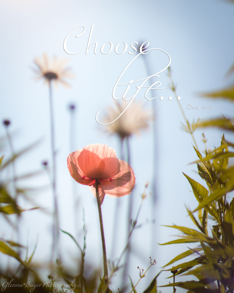Pink and white spring flowers with choose life quote