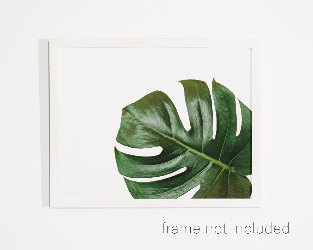 framed print of Monstera Leaf in lower right corner with white background
