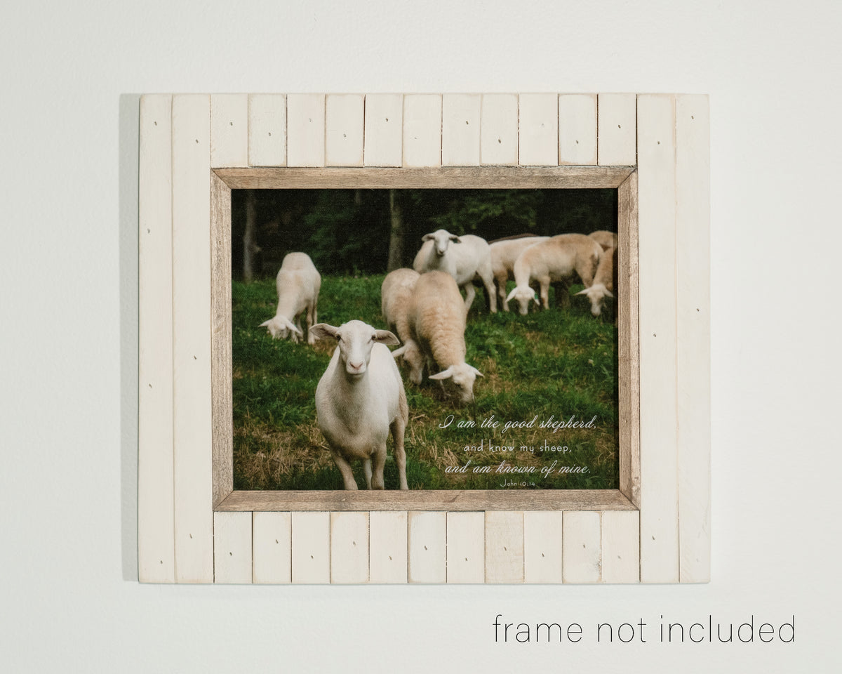 framed print of Flock of sheep in green pasture with scripture verse