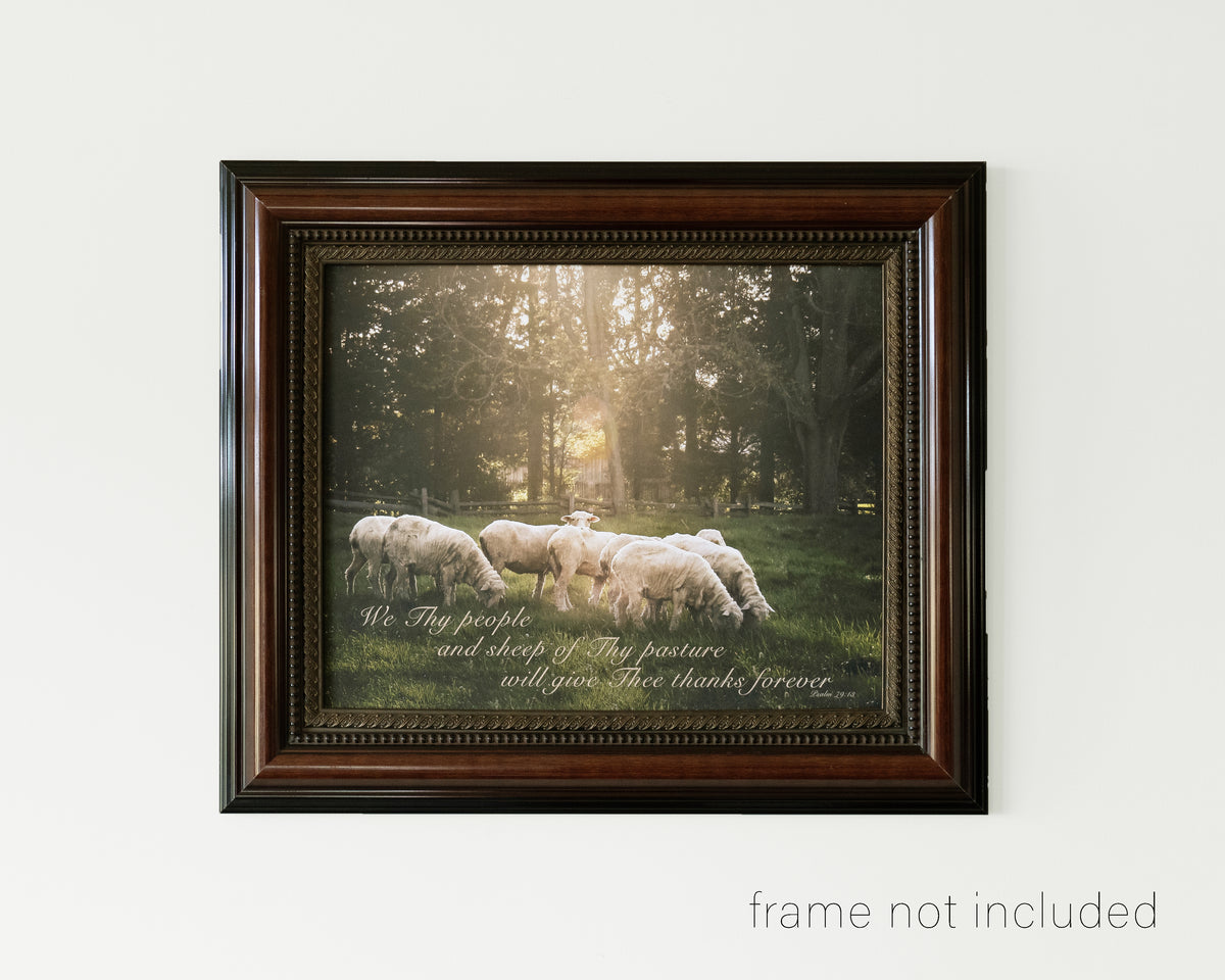 framed print of Flock of sheep in meadow with scripture verse