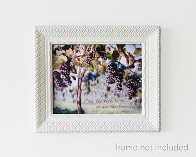 Framed print of Grapes on grapevine in vineyard with scripture verse