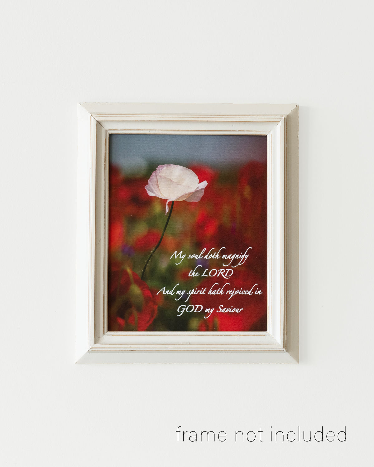 Framed print of Poppy Field with red, purple, blue, and white flowers in Enon, Ohio with scripture verse