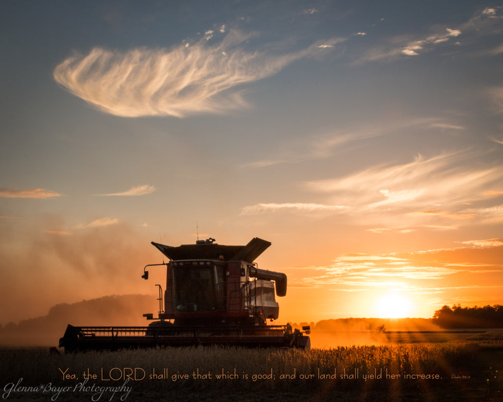 Silhouette of combine in bean field at sunset