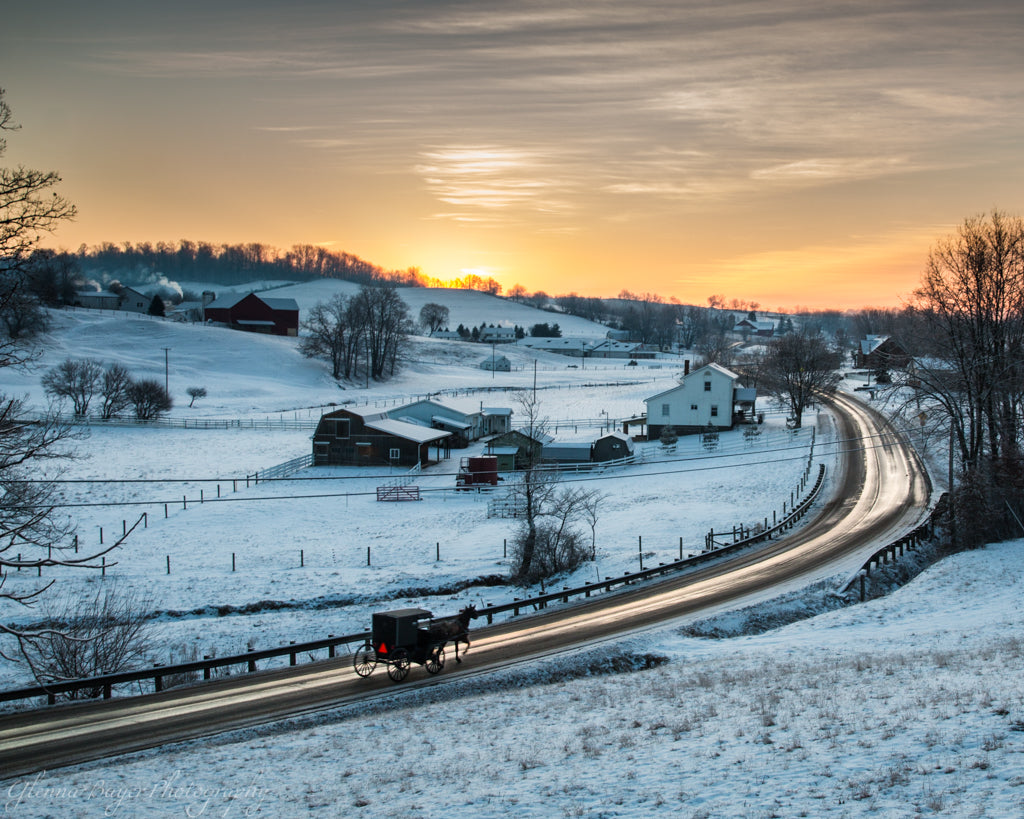 Amish horse and buggy going down rode on an early snowy morning