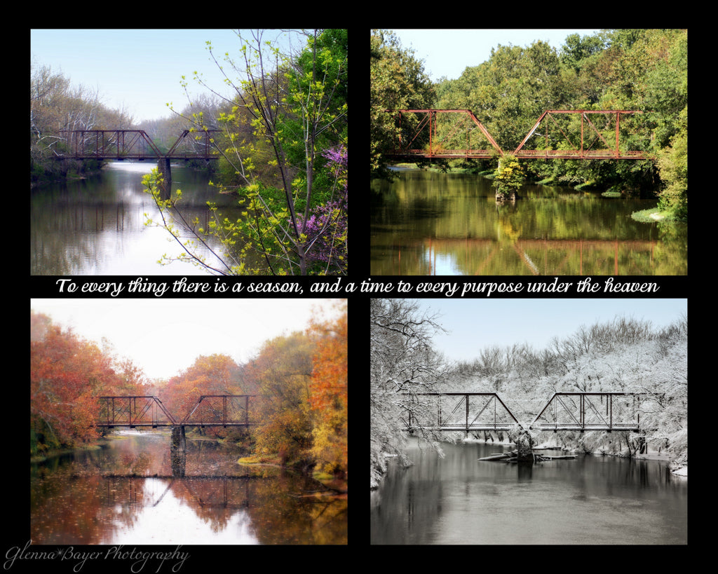 A four picture collage of the Falknor Road Bridge in the four seasons with scripture verse