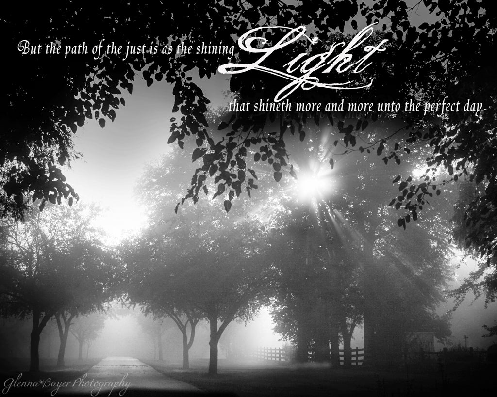 Foggy morning with sunlight shining through trees in black and white with scripture verse
