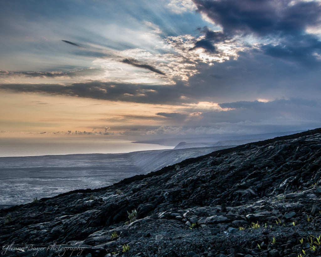 Hawaii Lava Field at sunset with new growth