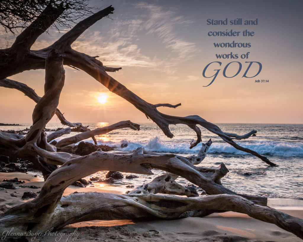 Landscapes With Scripture