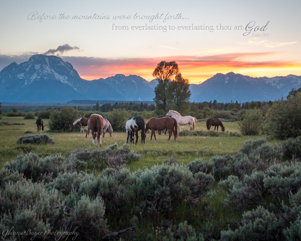 Horses grazing in pasture with Tetons in distance during sunset with scripture verse