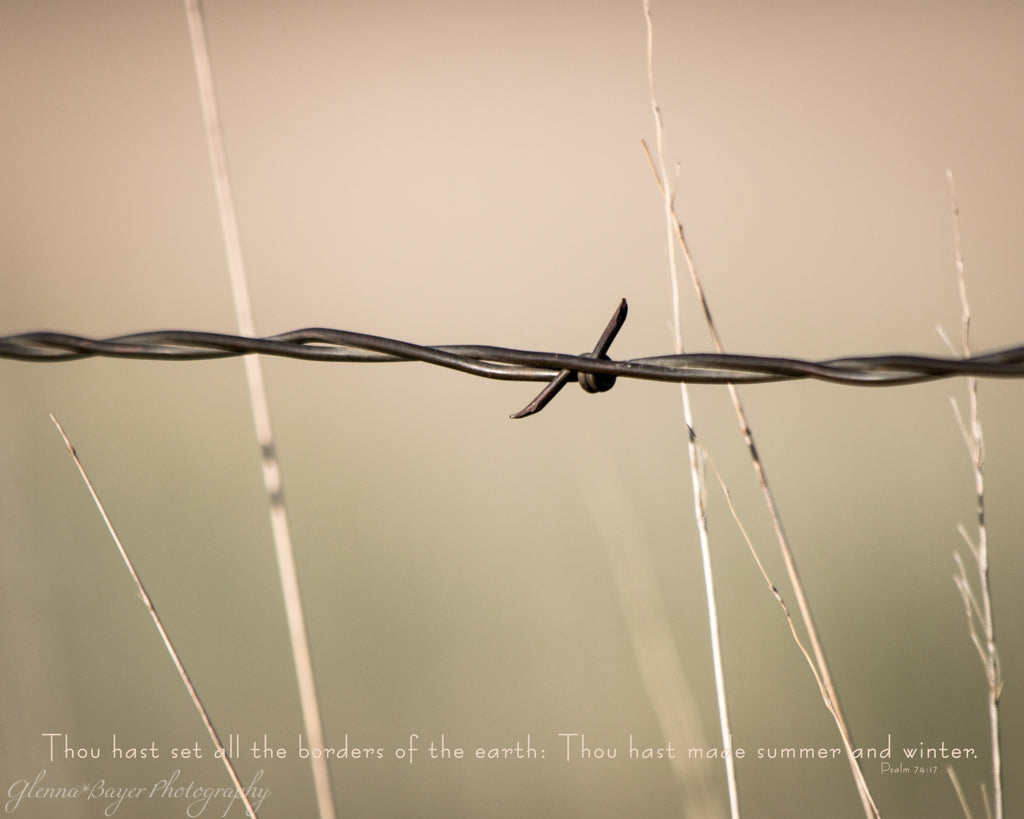 Barbed wire fence with wheat field in Kansas with scripture verse