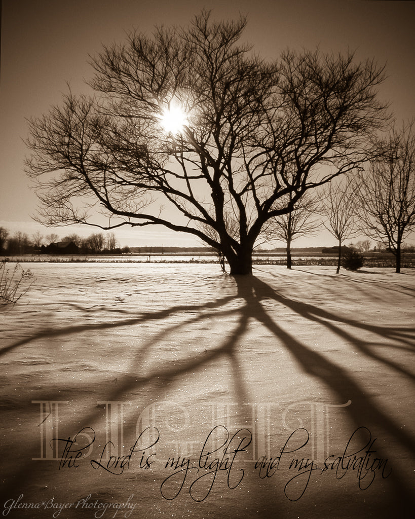 Sunburst through silhouette of tree in snow with scripture verse